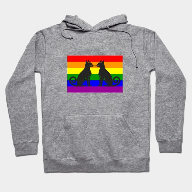 Cats love gay pride Hoodie by cypryanus